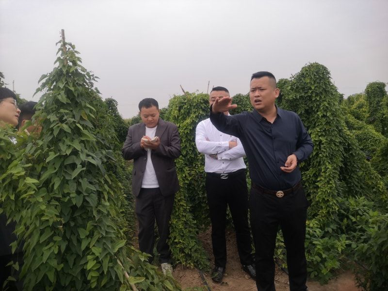 吴总