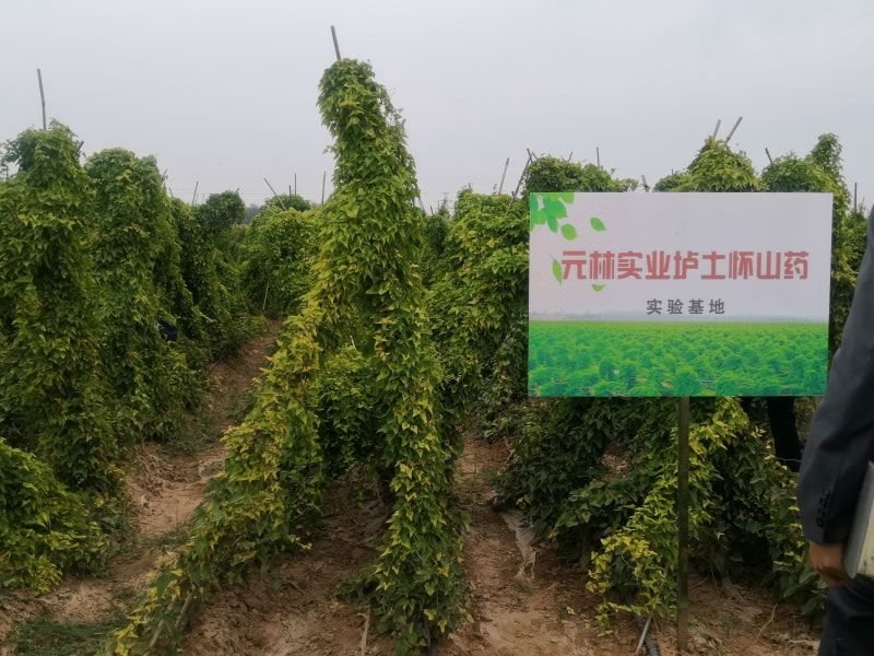 实验基地牌子