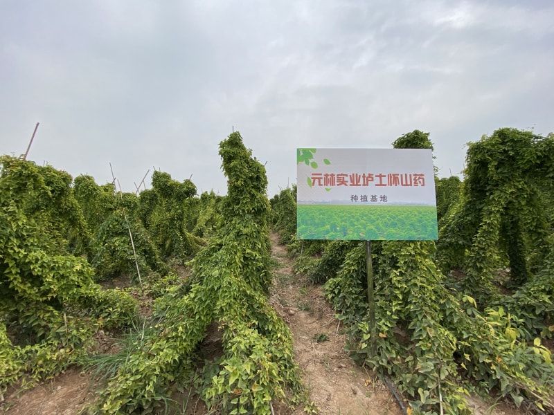 种植基地牌子